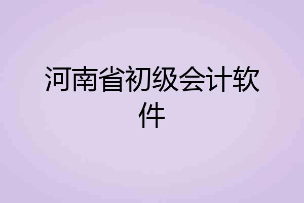 河南省初级会计软件