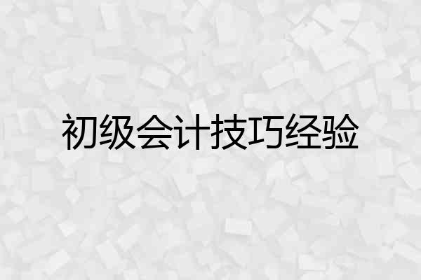 初级会计技巧经验