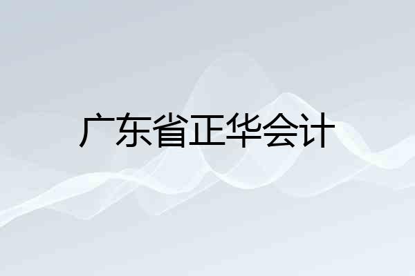 广东省正华会计
