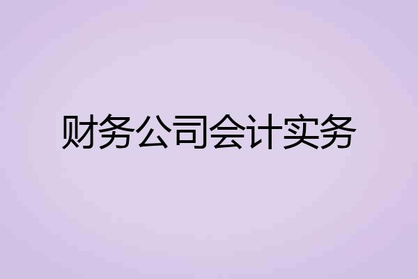 财务公司会计实务