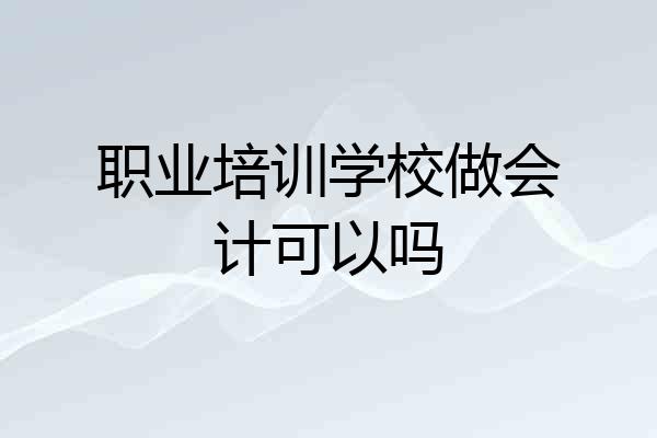 职业培训学校做会计可以吗