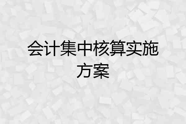 会计集中核算实施方案