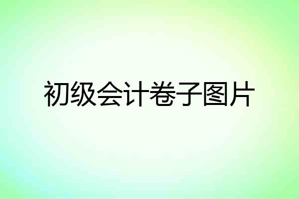 初级会计卷子图片