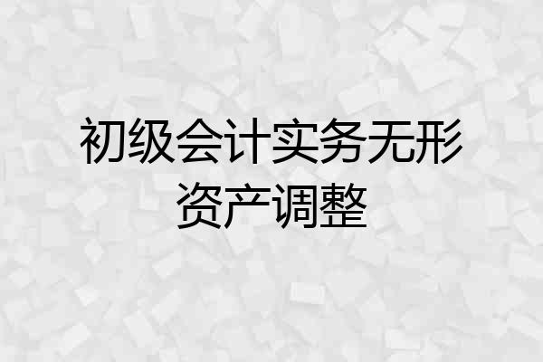初级会计实务无形资产调整