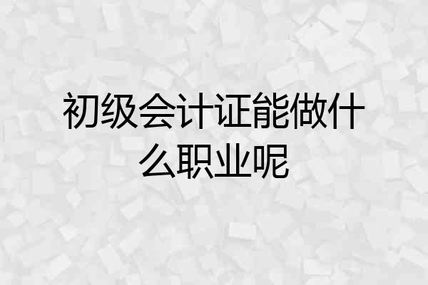 初级会计证能做什么职业呢