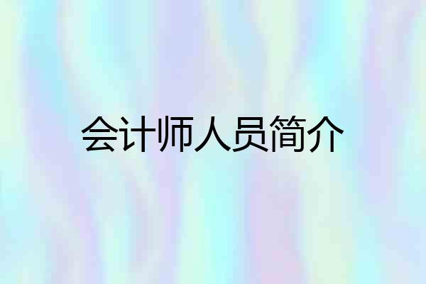 会计师人员简介