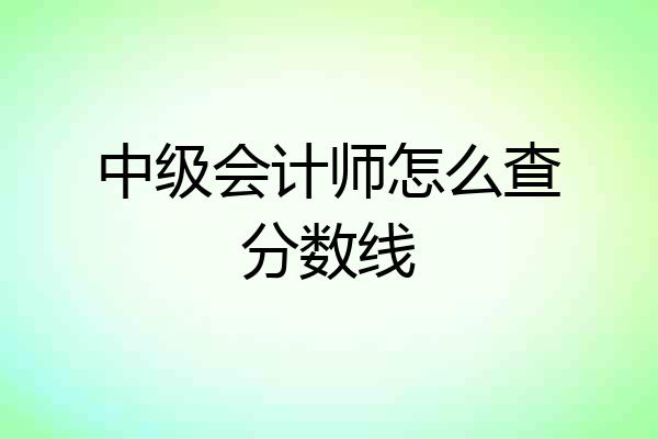 中级会计师怎么查分数线
