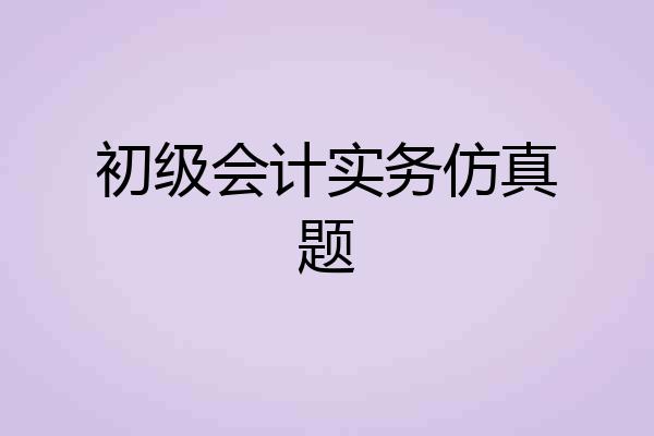 初级会计实务仿真题