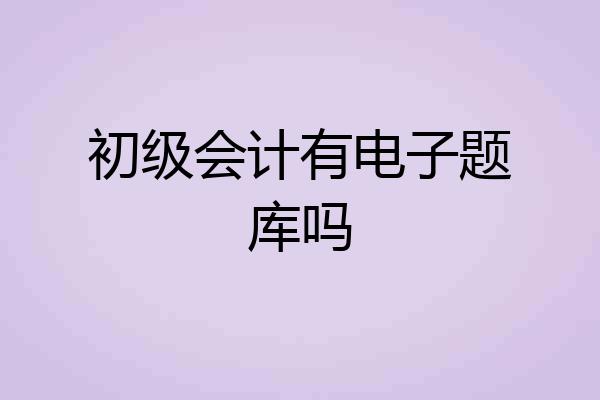 初级会计有电子题库吗
