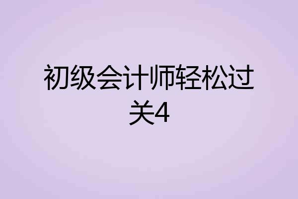 初级会计师轻松过关4