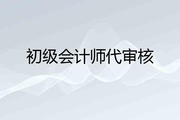 初级会计师代审核