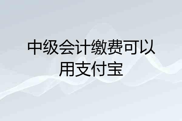 中级会计缴费可以用支付宝