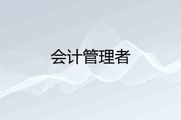 会计管理者