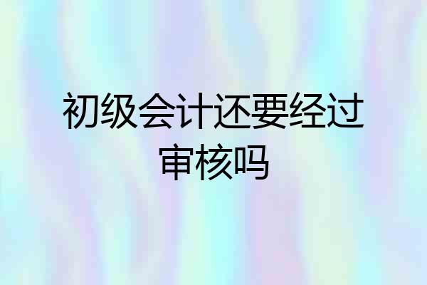 初级会计还要经过审核吗
