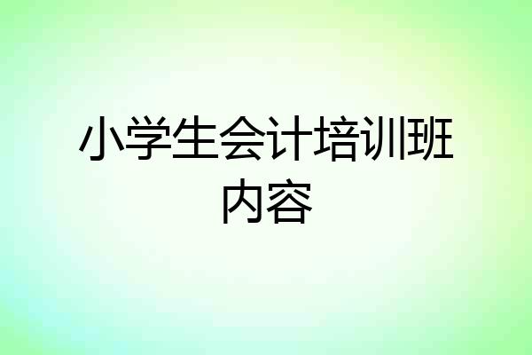 小学生会计培训班内容