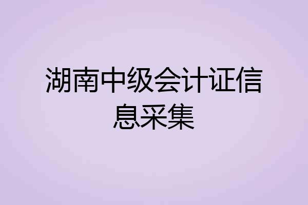 湖南中级会计证信息采集