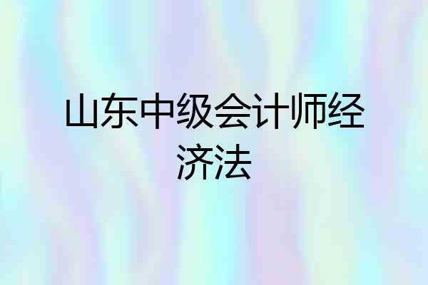 山东中级会计师经济法