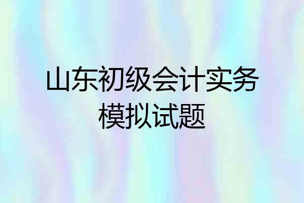 山东初级会计实务模拟试题