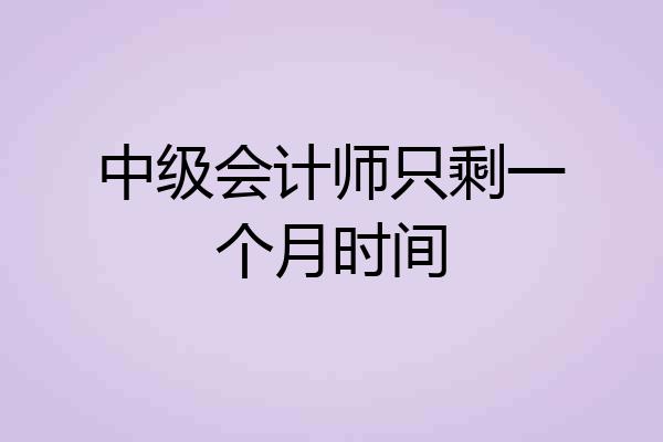中级会计师只剩一个月时间