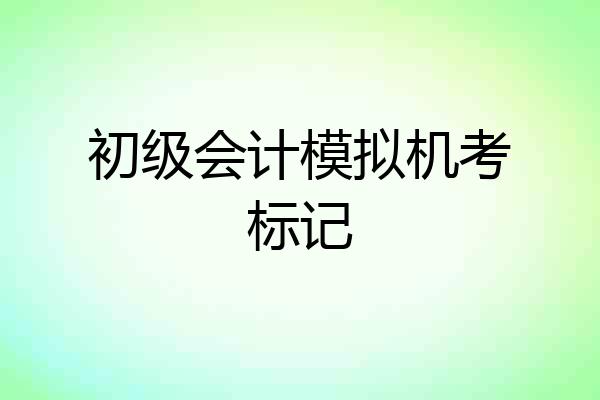 初级会计模拟机考标记