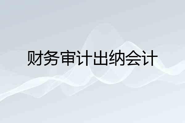 财务审计出纳会计