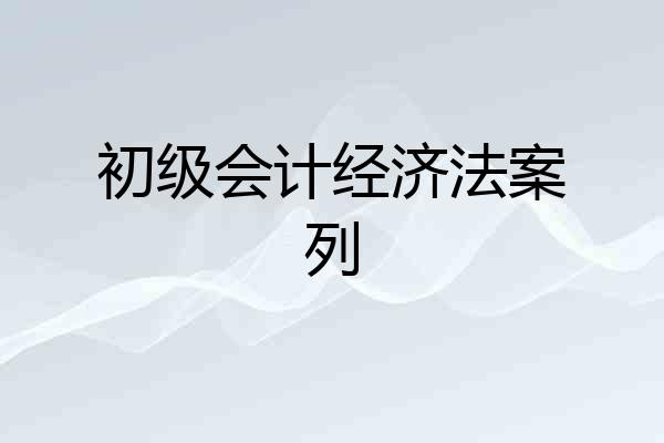 初级会计经济法案列