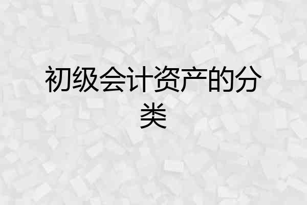 初级会计资产的分类