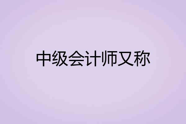 中级会计师又称