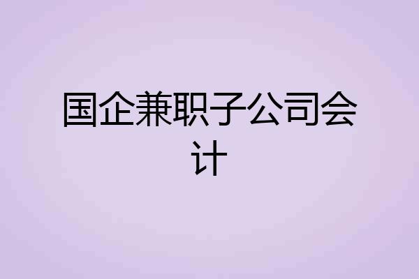 国企兼职子公司会计