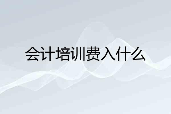 会计培训费入什么