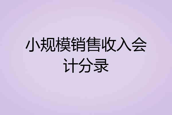 小规模销售收入会计分录