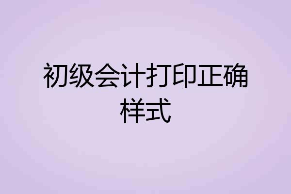 初级会计打印正确样式
