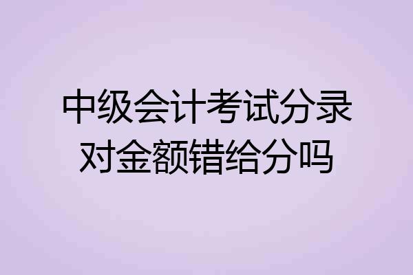 中级会计考试分录对金额错给分吗