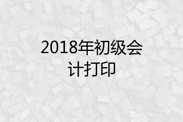 2018年初级会计打印