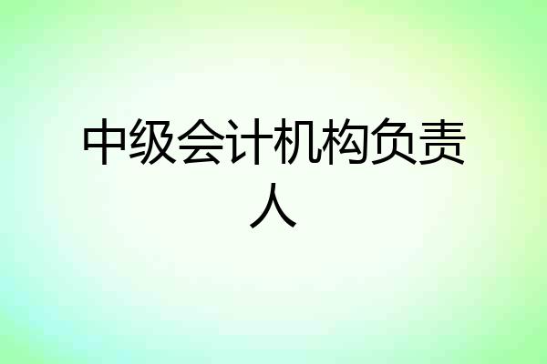 中级会计机构负责人