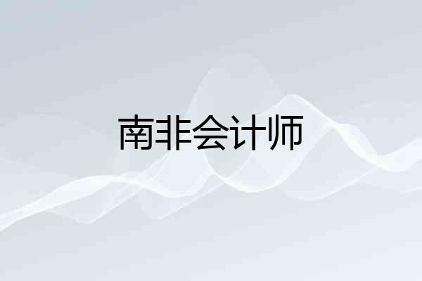 南非会计师