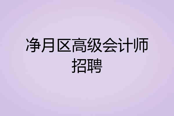 净月区高级会计师招聘