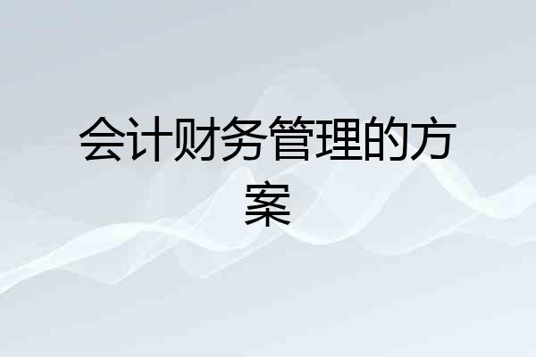 会计财务管理的方案