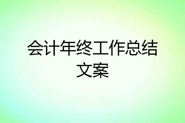 会计年终工作总结文案