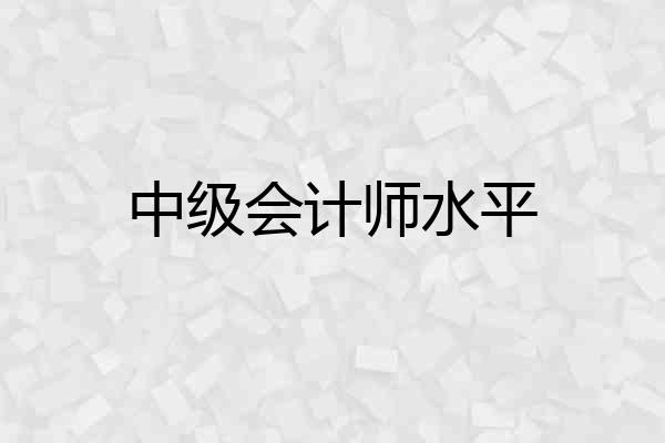 中级会计师水平