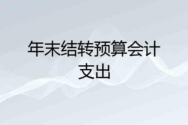 年末结转预算会计支出