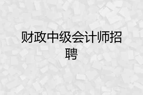 财政中级会计师招聘