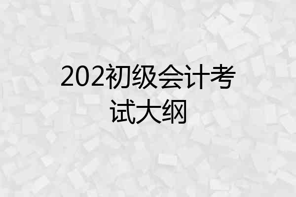 202初级会计考试大纲