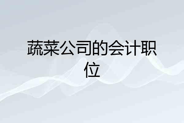 蔬菜公司的会计职位