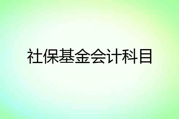社保基金会计科目