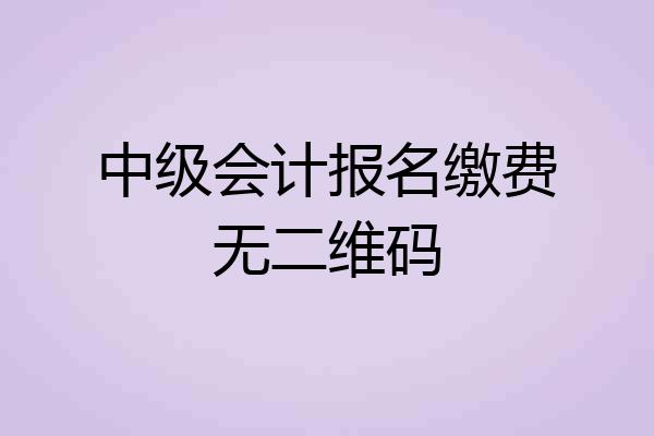 中级会计报名缴费无二维码