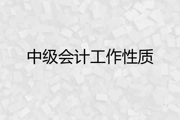 中级会计工作性质