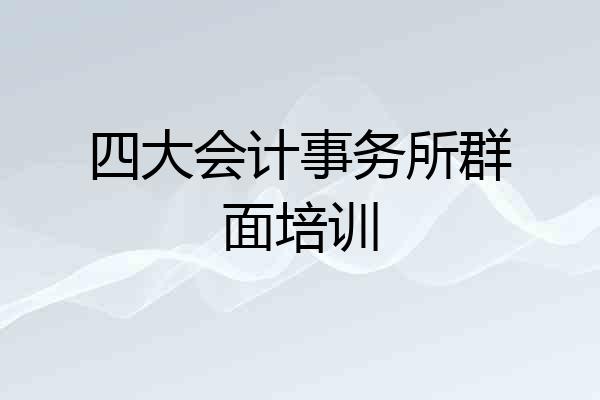 四大会计事务所群面培训