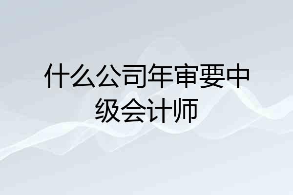 什么公司年审要中级会计师