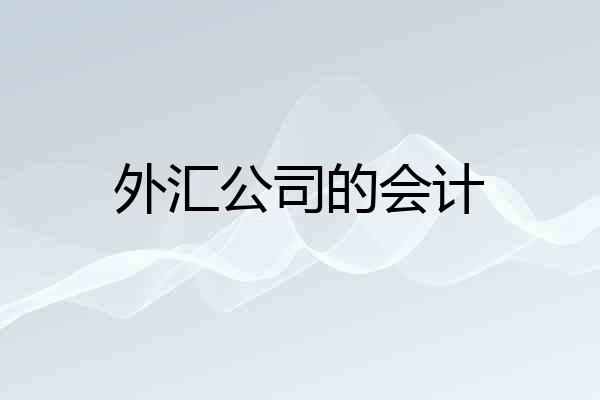 外汇公司的会计